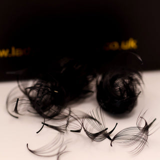 Loose Promade Fans 8D–20D D Curl