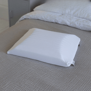 Putnams Front Sleeper Pillow Cover