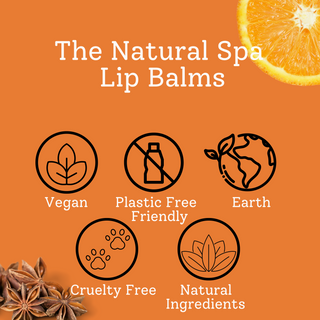 Spiced Orange Lip Balm | All Natural | 15g