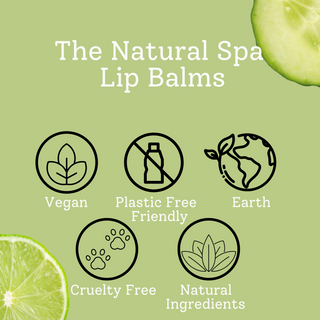 Cucumber Lime Natural Lip Balm | Vegan, Hydrating & Nourishing | Plastic-Free, Handmade Lip Care