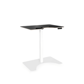 Salli E-Desk with Electric Height Adjustment 2