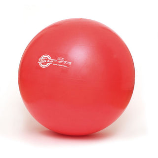 Sissel Exercise Ball