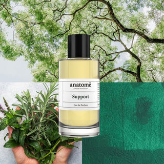 Support Eau de Parfum | Protective, herbaceous & restorative