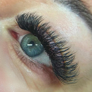 W Lashes – 16 Row Single Length Trays