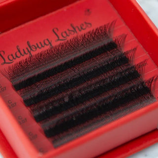 W Lash Sample Tray – 5 Rows