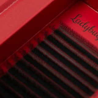 W Lashes – 16 Row Single Length Trays