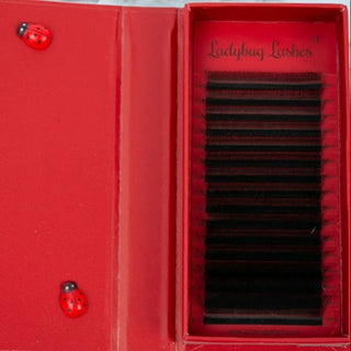 W Lashes – 16 Row Single Length Trays