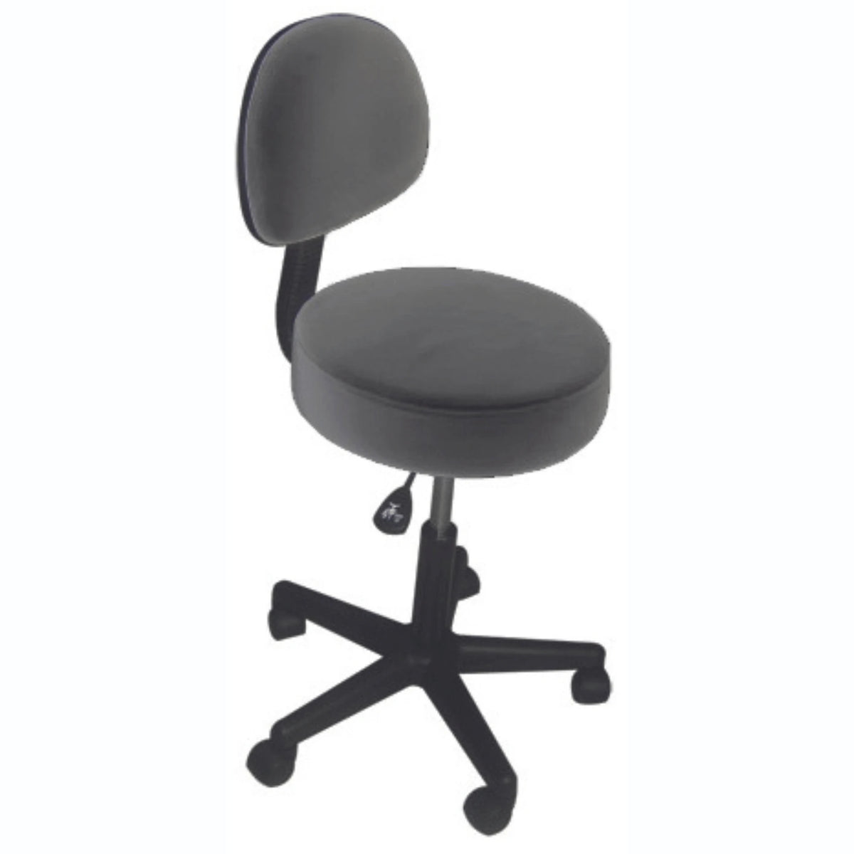 Backrest Salon Chair