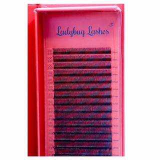 Premade Angel Lashes 5D Closed Fans 16 Row Single Length Trays