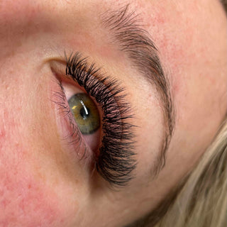 Fairy Lashes – 16 Row Single Length Trays