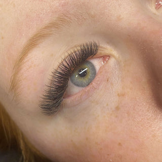 Fairy Lashes – 16 Row Single Length Trays