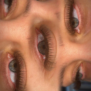 Brown 4D Clover Lashes – 16 Row Mixed Tray