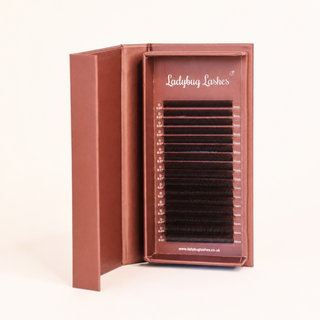 Brown W Lashes – Mixed Tray