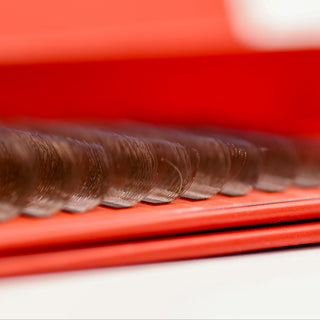 Brown 6D Clover Lashes – 16 Row Single Length Trays