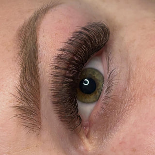 Brown Fairy Lashes – Mixed Tray