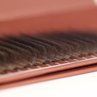 Brown W Lashes – 16 Row Single Length Trays