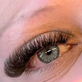 Brown 6D Clover Lashes – 16 Row Mixed Tray