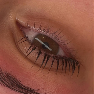 Flutter & Frame Lash Lift & Brow Lamination Sachets