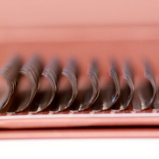 Brown Fairy Lashes – Mixed Tray