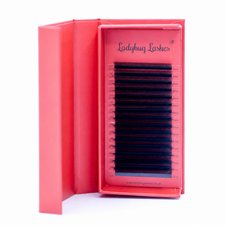 Fairy Lashes – 16 Row Single Length Trays