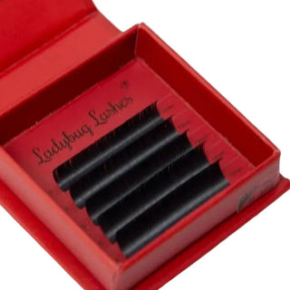 Cashmere Flat Classic Lash Sample Tray – 5 Rows