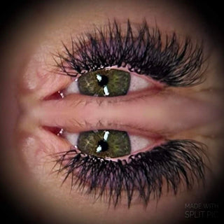 W Lashes – Mixed Tray