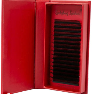 W Lashes – Mixed Tray