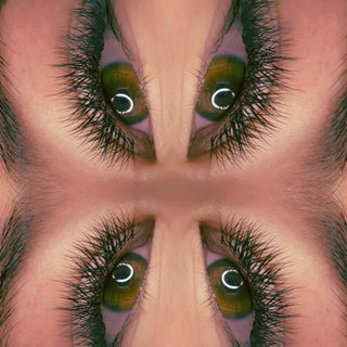 YY Lash Sample Tray – 5 Rows