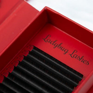 Cashmere Flat Classic Lashes – Single Length Trays