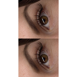 Brown Cashmere Flat Classic Lashes – Mixed Tray