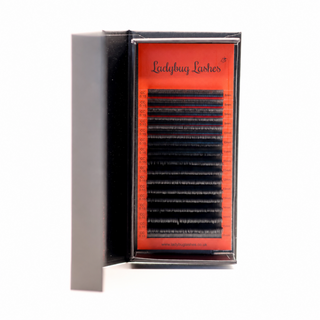 Cashmere Flat Classic Lashes – Single Length Trays