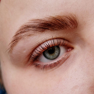 Express Cysteamine Lash Lift & Brow Lamination Sachets