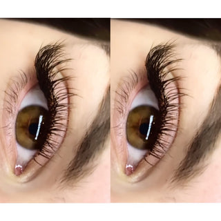 Brown Cashmere Flat Classic Lashes – Mixed Tray