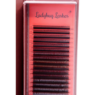 Brown YY Lash Single Length 16 Row Tray