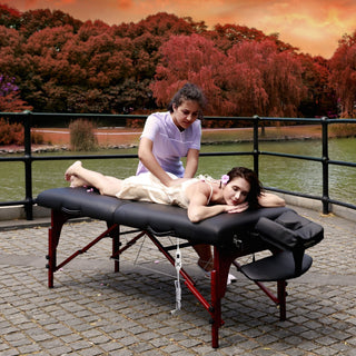 Massage Table, heating top, tattoo table, Thermal-Top Study  Strong Soft Cushion Premium comfort Portable Massage Table  Oil proof & waterproof surface Massage Table heating top table  Foldable and Portable carry case include adjustable table height and face cradle  Tatto tabletable, portable massage table