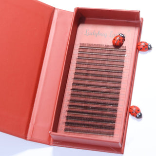 Brown Premade Angel Lashes 5D Closed Fans 16 Row Mixed Tray