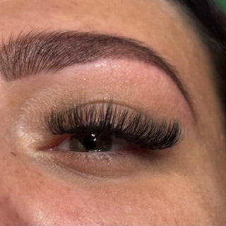 10D Clover Lash Sample Tray – 5 Rows