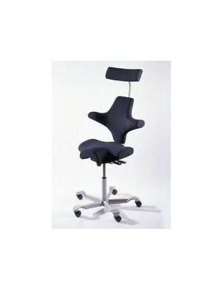 HAG Capisco 8107 Office Chair