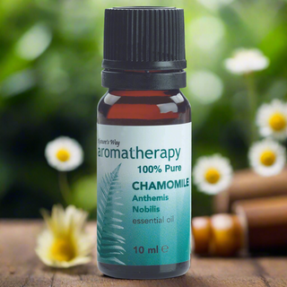 Natures Way Chamomile Roman Essential Aromatherapy Oil 10ml - Natural Living