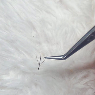 Fairy Lashes – Mixed Tray