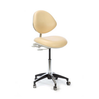 Plinth Premium Clinicians Chair