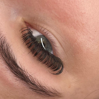 Premade Angel Lashes 5D Closed Fans 16 Row Single Length Trays