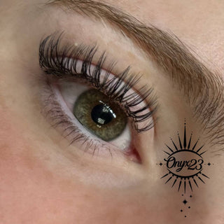 Premade Angel Lashes 5D Closed Fans 16 Row Single Length Trays