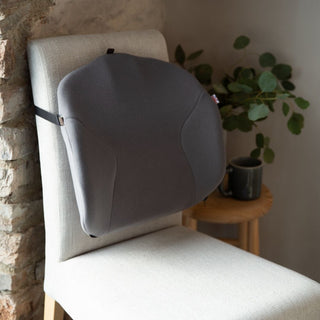 Putnams Chair Back Cushion - Superest - Natural Living