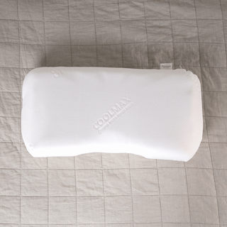 Putnams Pillow Coolmax Cover - Natural Living