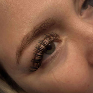 Premade Angel Lashes 5D Closed Fans 16 Row Single Length Trays