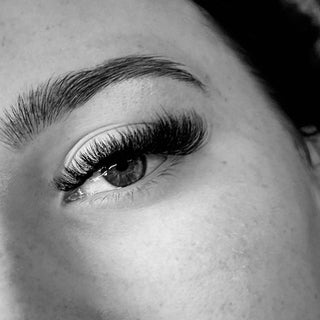 8D Clover Lashes – 16 Row Single Length Trays