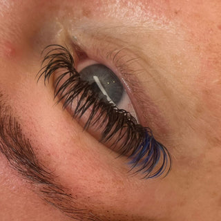 Premade Angel Lashes – 5D Closed Fans | 16 Row Mixed Tray