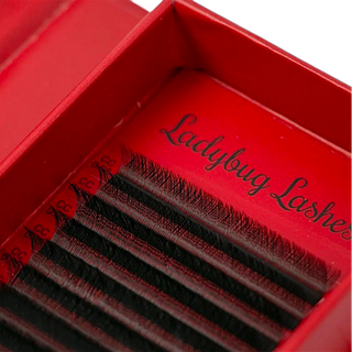 YY Lashes – 8–15mm Mixed Tray