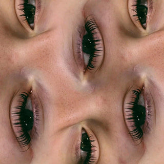 Premade Angel Lashes 5D Closed Fans 16 Row Single Length Trays